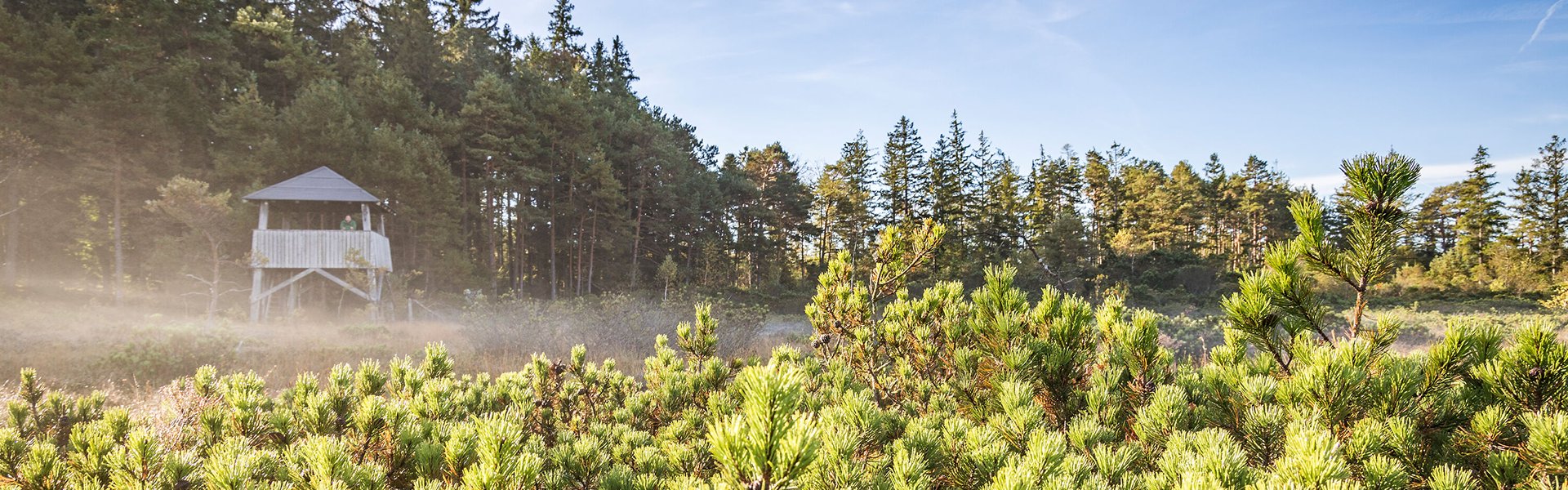 Beobachtungsturm in der Burghamer Filz Bei Seebruck im Nebel.