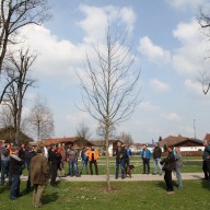 © Landratsamt Traunstein: Die Jungbaumpflege sichert eine gute Entwicklung des Baums.